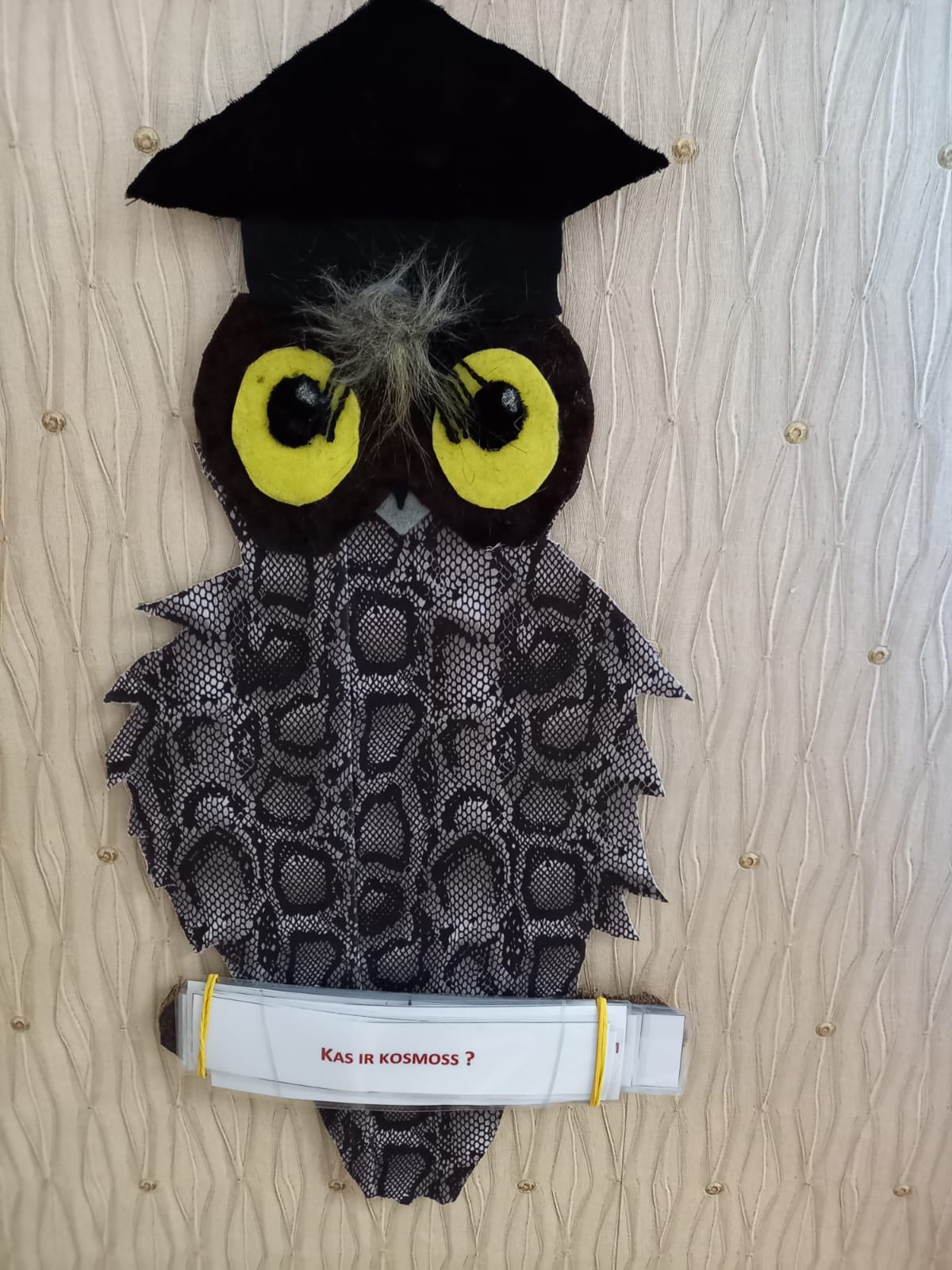 Read more about the article Pūces jautājums.