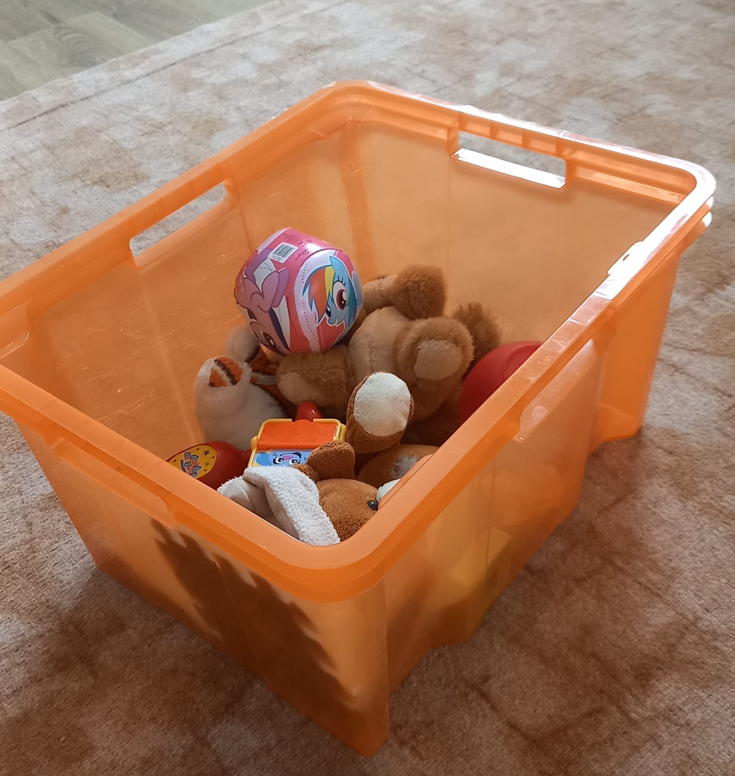 Read more about the article Lielā kaste .    