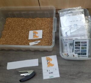 Read more about the article Graudu kaste lasītprasmes attīstīšanai