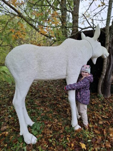 “Lielie rūķīši” dodas uz Silajāņu muižu