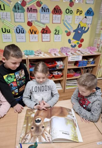 617613319_1342864344309630_5746771743022042818_n